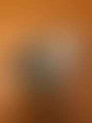 Aankoop Oud-Sint-Elooi door de gemeente