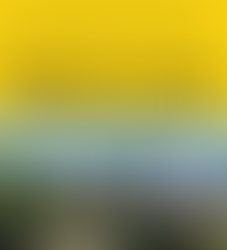 Overijse stelt ambitieus en evenwichtig Meerjarenplan 2026–2031 voor