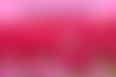 Art show at City Gallery focuses on bird photography