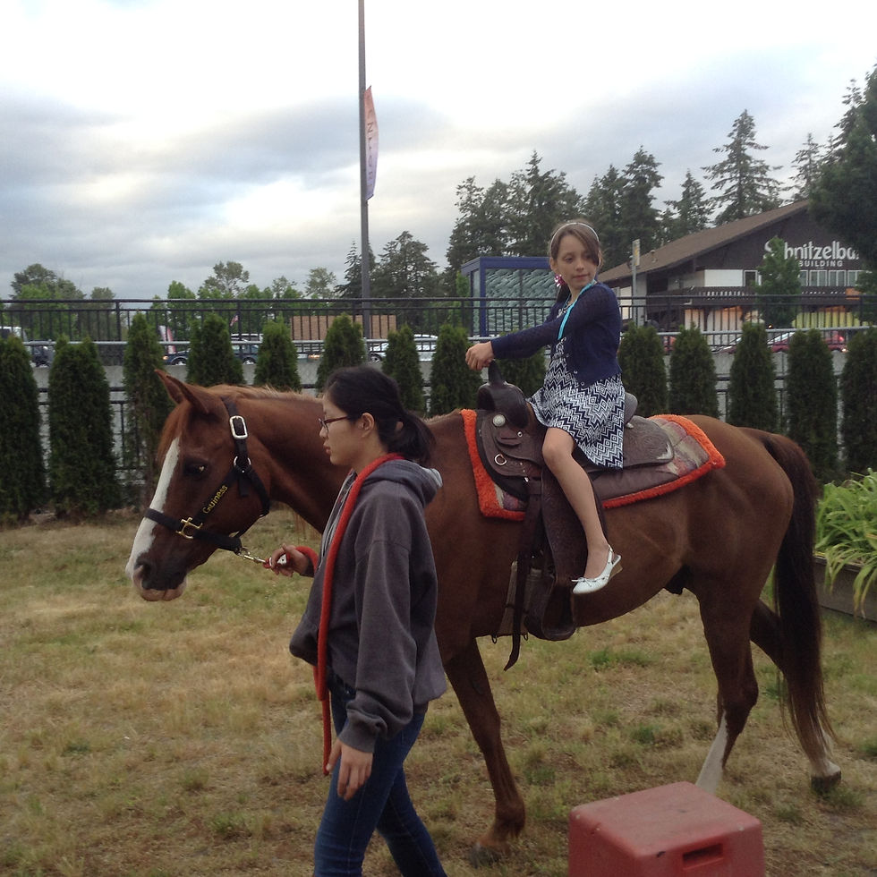 20180613_PonyRide