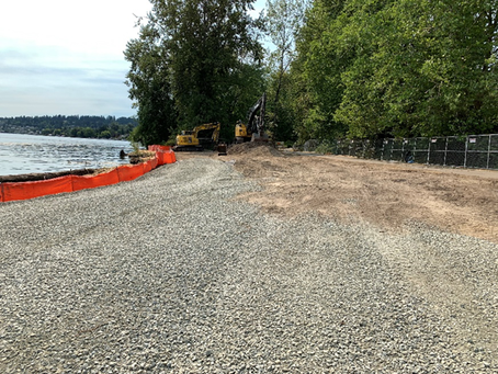 Work on Log Boom waterfront has begun