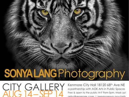 AOK presents: Sonya Lang black and white into color