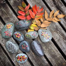New Painted Rock Garden at the Senior Center