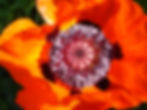 DSC00338