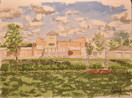 My Backyard Practice Sketch for Next Week Ed Cepiel