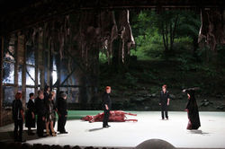 photo © David Siebert