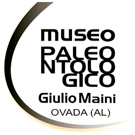 maini museo logo.png