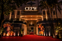 CEFW ENTRADA 2.png