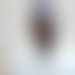 In Praise of Identities: A Philosopher's Argument for Who We Are By Alioune Badara NDIAYE