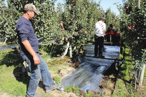 Thumbnail: Reflective Film