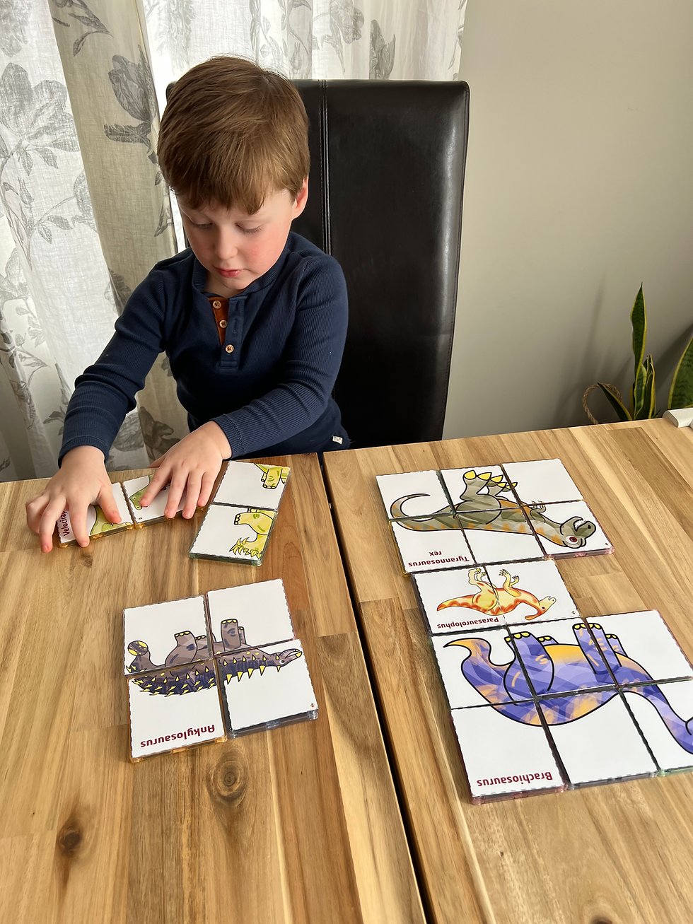 Thumbnail: MAGBLOX DIGITAL DINO PUZZLE