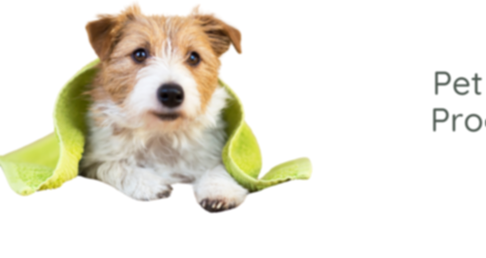 Pet Care.png