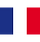 flag (1).png
