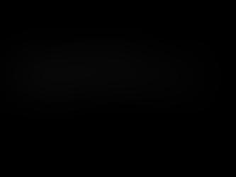 Heneral Luna Disclaimer-1