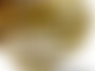 "Paradise lost" - Georg Erlacher