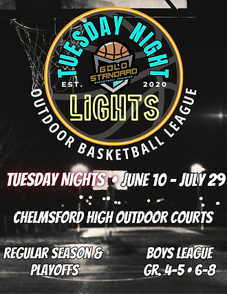 Copy of Red Maroon Basketball Camp Sport Event Promotion Flyer (2) copy 2.png