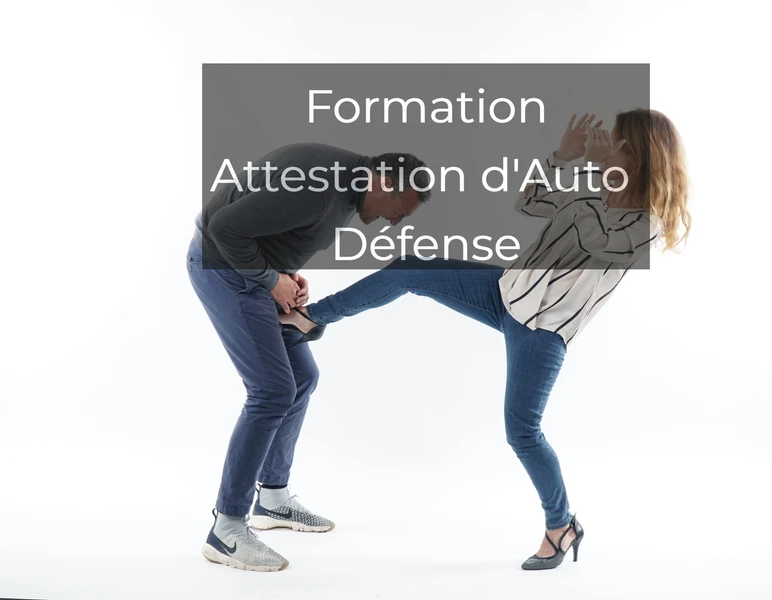 Formation attestation d'auto défense . Coup de pied instinctive krav maga aux parties génitales