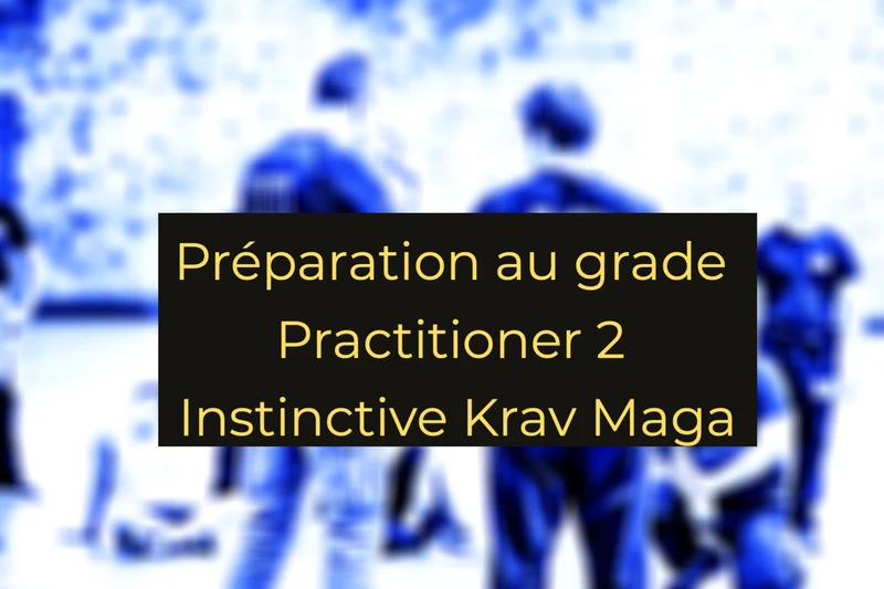 Préparation au niveau P2 Instinctive Krav Maga