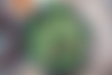 Trying The Keto Diet!