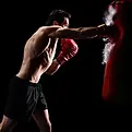 Main_Image_1_1ebf67f7-19b2-43f2-b10d-5e7685065e75 (1).webp