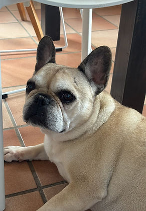 Louna