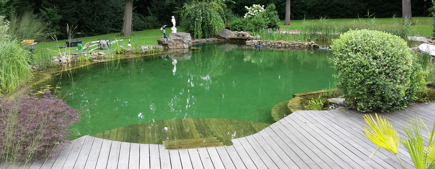 Teich - A&N Dienstleistungen, Papenburg