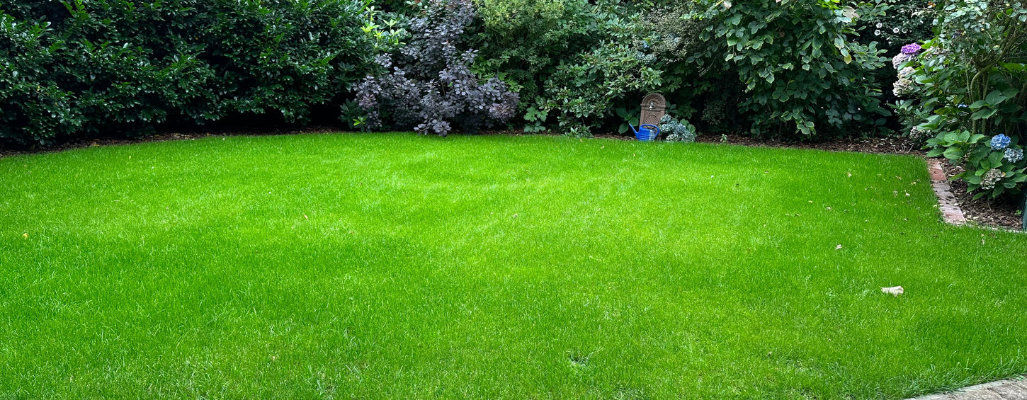 Rasen, Rollrasen, Gartenhäuser - A & N Dienstleistungen, Papenburg