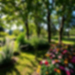 gartenbild