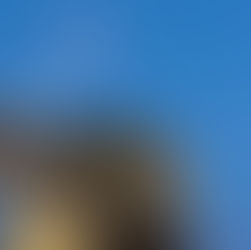 지금까지 잘해왔고, 앞으로도 잘할 거야