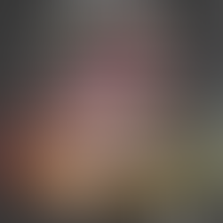 Professional Development Series