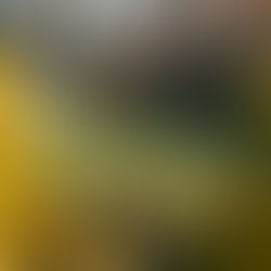 선택에도 용기가 필요하다는 걸 알게 되었거든