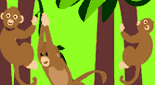 Jungle Animals Find and Count
