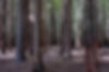 25905582582_6f762eab17_w.jpg