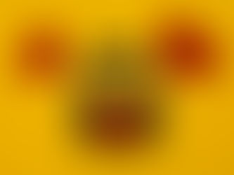 Mit personalisierter Musik Herzen berühren