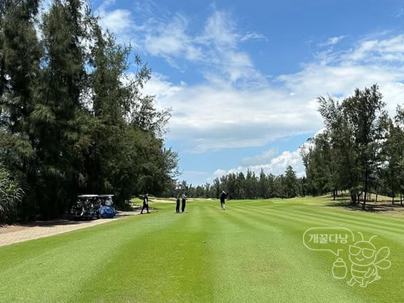 다낭 몽고메리 골프장 페어웨이