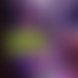 다낭 텐프로 가라오케