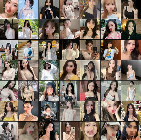 다낭 보스 바