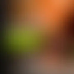 다낭 화월루 마사지