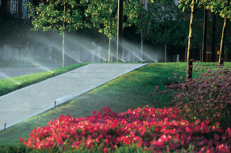1800Sidewalk_Sprays.jpg