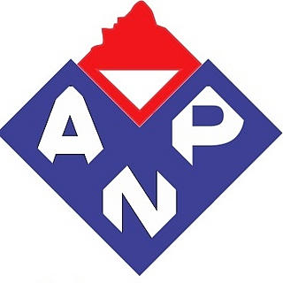 Foto do escritor: Escola Estadual Básica Professor Aníbal Nunes Pires