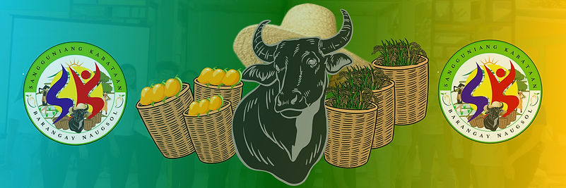 Untitled design (1).jpg