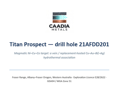 WA - E28/3605 Titan - coherent copper–gold–bismuth–silver hydrothermal association