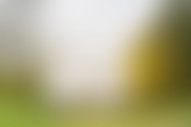 La gamme en enduit blanc