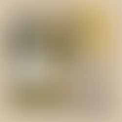 Un studio de jardin 30 m2 dans le finistère : un espace indépendant, confortable et rentable