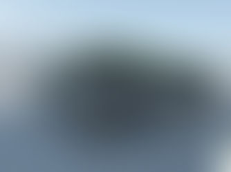 Option toit végétale