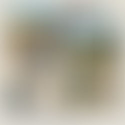 Maison bois de 50 m2