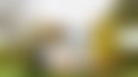 Pour la rentrée de nouveaux design