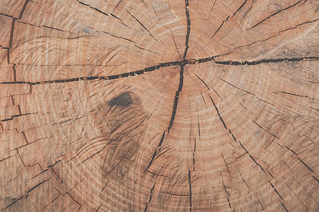 old-wood-grain-background (1).jpeg