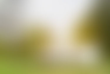 Maison à ossature bois , aspect enduit