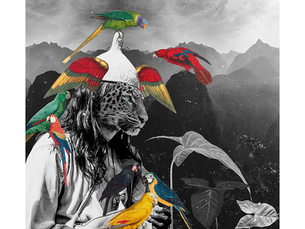 Help protect the Amazon Rainforest by buying this Limited Edition Print!